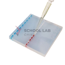 EDVOTEK DNA DuraGel